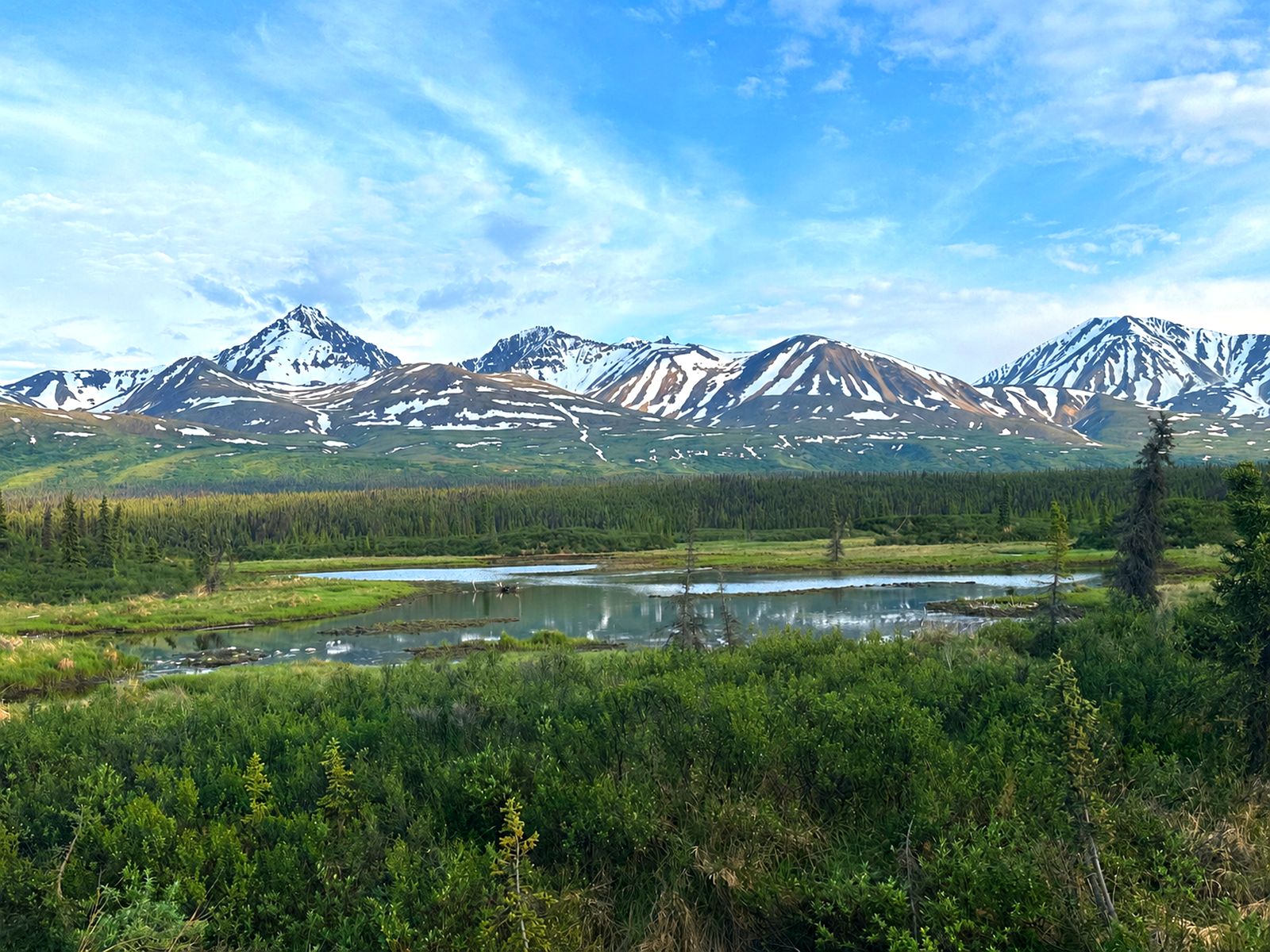Snow-capped Alaska mountain range behind a spruce-forested valley and a still pond